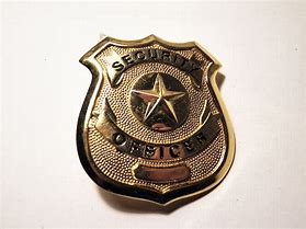 Image result for FBI Badge