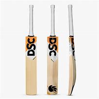 Image result for DSC Cricket Bat