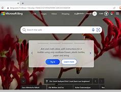 Https Bing Images Search に対する画像結果