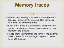 Image result for Memory Trace Example