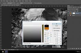 Image result for Tint Color Photoshop