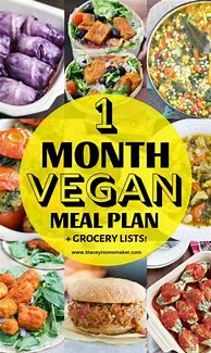 Image result for Vegetarian Lifestyle for Beginners