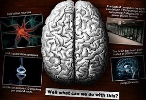 Image result for Super Human Brain