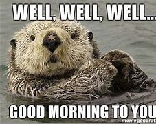 Image result for Good Morning Otter