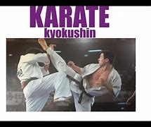 Image result for Kyokushin Karate Little Dark Age