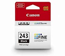 Image result for Canon Printer Ink 243