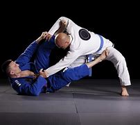 Image result for What Is Brazilian Jiu Jitsu