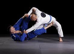 Image result for Brazilian Martial Arts Workout