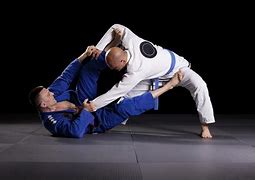 Image result for Brazilian Jujitsu Moves