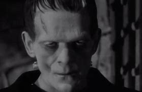 Image result for Frankenstein Spark of Life