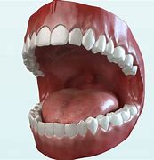Image result for Animated Tongue