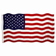Image result for Polyester American Flag