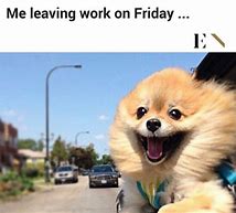 Image result for Bad Work Day Meme Animals