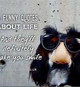 Image result for Funny Quotes About Life People