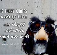 Image result for Funny Life Is Like Jokes