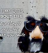 Image result for Funny but True Sayings About Life