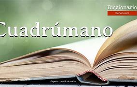 Image result for cuadr�mano