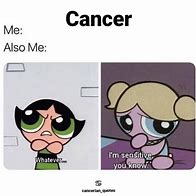Image result for Star Sign Cancer Memes