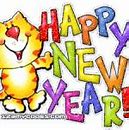 Image result for New Year Cat Meme