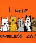 Image result for Homeless Animals Cat