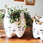 Image result for Cat Mint Craft