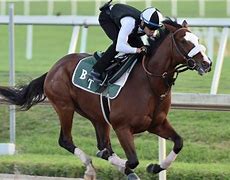 Image result for Derby Horse Racing