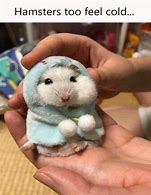 Image result for Adorable Baby Animal Memes