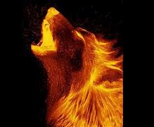 Image result for Wolf Pack Fire
