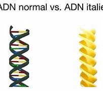 Image result for ADN Memes
