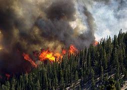 Image result for Wildfire Wallpaper