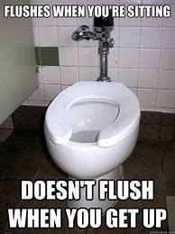 Image result for Flush Memes