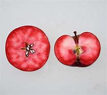 Image result for Black Apple Red Flesh