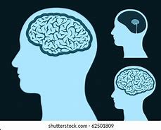 Image result for Big Head Small Brain