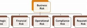 Image result for Business Risk Types