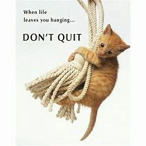 Image result for Motivational Poster for Elementary School Cat