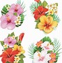 Image result for Google Free Clip Art Flowers
