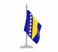 Image result for Bosnian Lily Flag