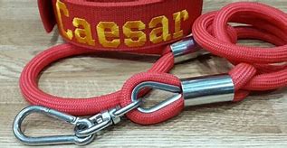 Image result for Strong Pit Bull Leash