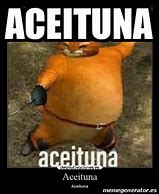 Image result for sceituna