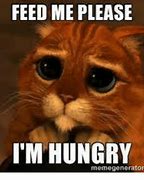 Image result for Hungry Face Meme