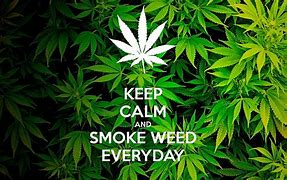Image result for Weed Cell Phone