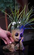 Image result for Baby Groot and Knowheres