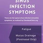 Image result for Sinus vs Allergy
