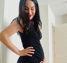 Image result for Brie Bella Pregnancy