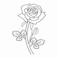 Image result for Rose Flower Animation