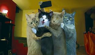 Image result for Funny Background Pictuces