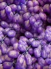 Image result for Purple Fruit Aesthetic