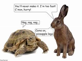 Image result for Tortoise and Hare Meme