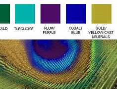 Image result for Peacock Blue Color Scheme and Gold