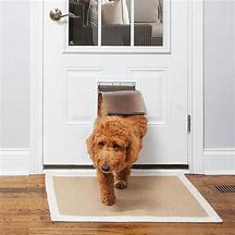 Image result for Dog at Front Door